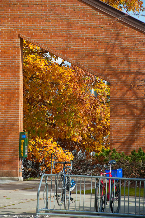 20101028_Trinity_Fall-24