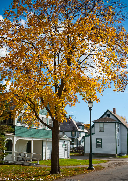 20101028_Trinity_Fall-34