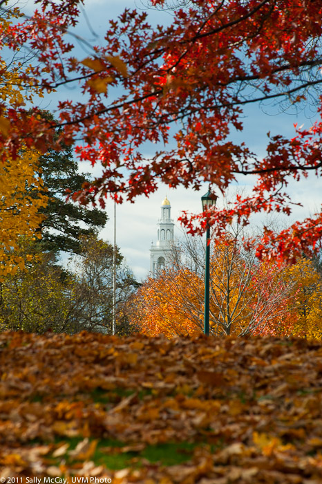 20101028_Trinity_Fall-50