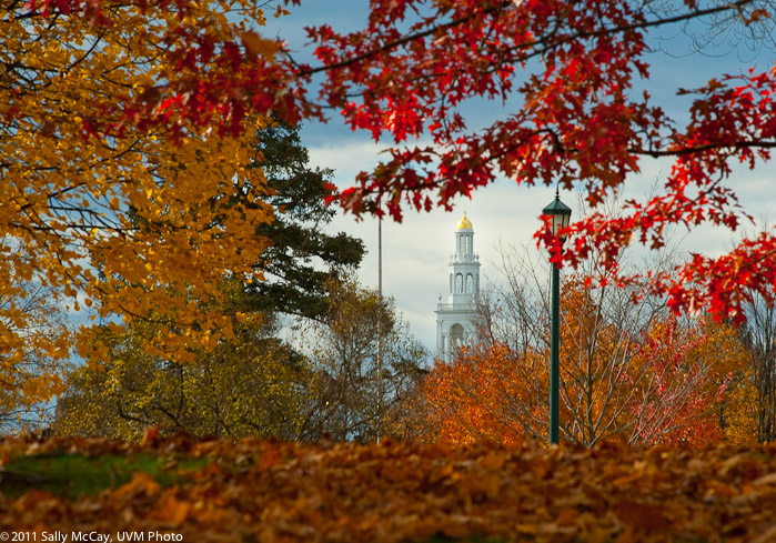 20101028_Trinity_Fall-51