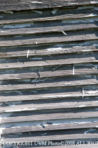 DSC_4654