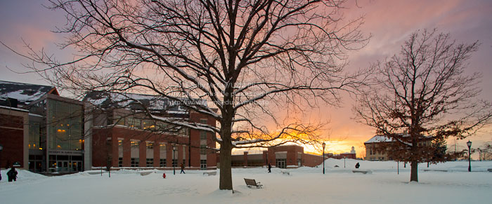 20110827_Winter_Campus-1