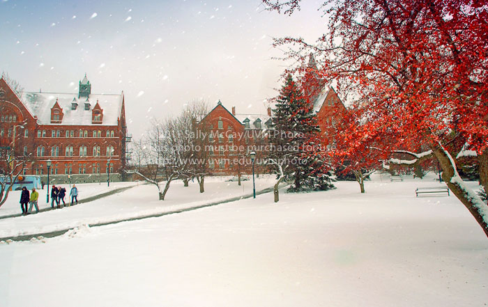 20110827_Winter_Campus-13