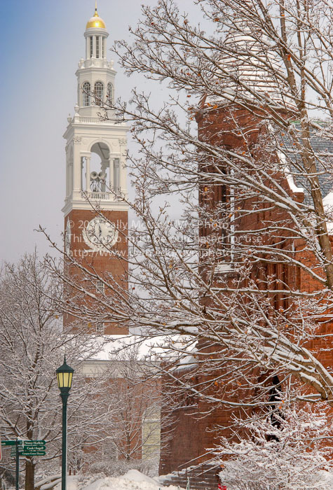 20110827_Winter_Campus-15