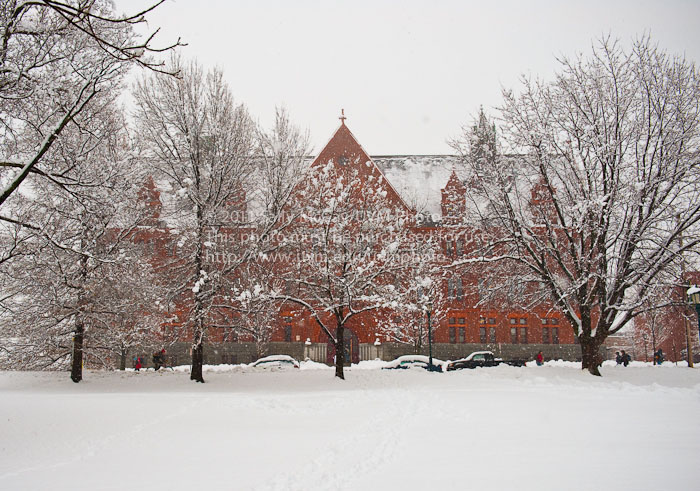 20110827_Winter_Campus-23