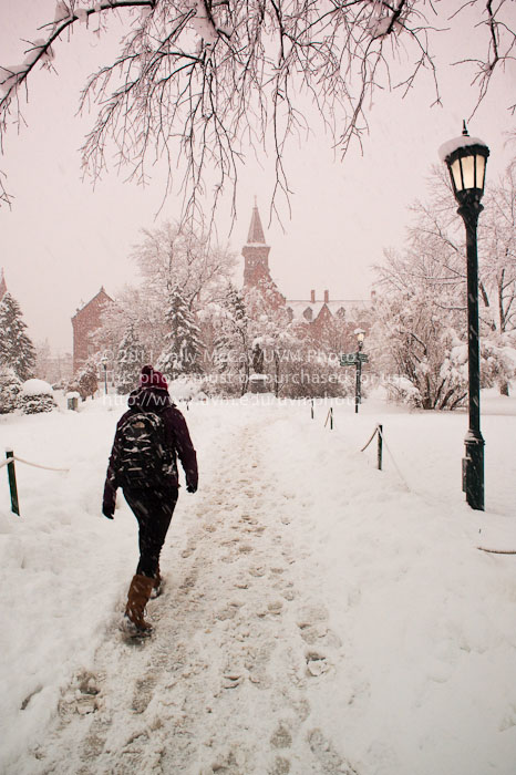 20110827_Winter_Campus-24