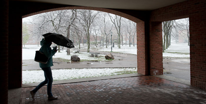 20110827_Winter_Campus-27