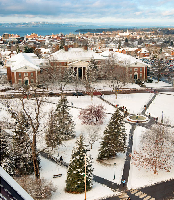 20110827_Winter_Campus-3