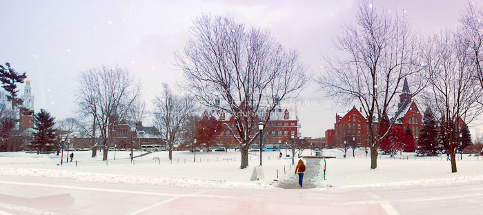 20110827_Winter_Campus-31