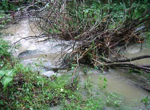 stream erosion