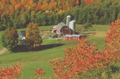 [fall farm]