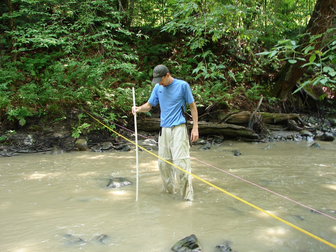 geomorph lower