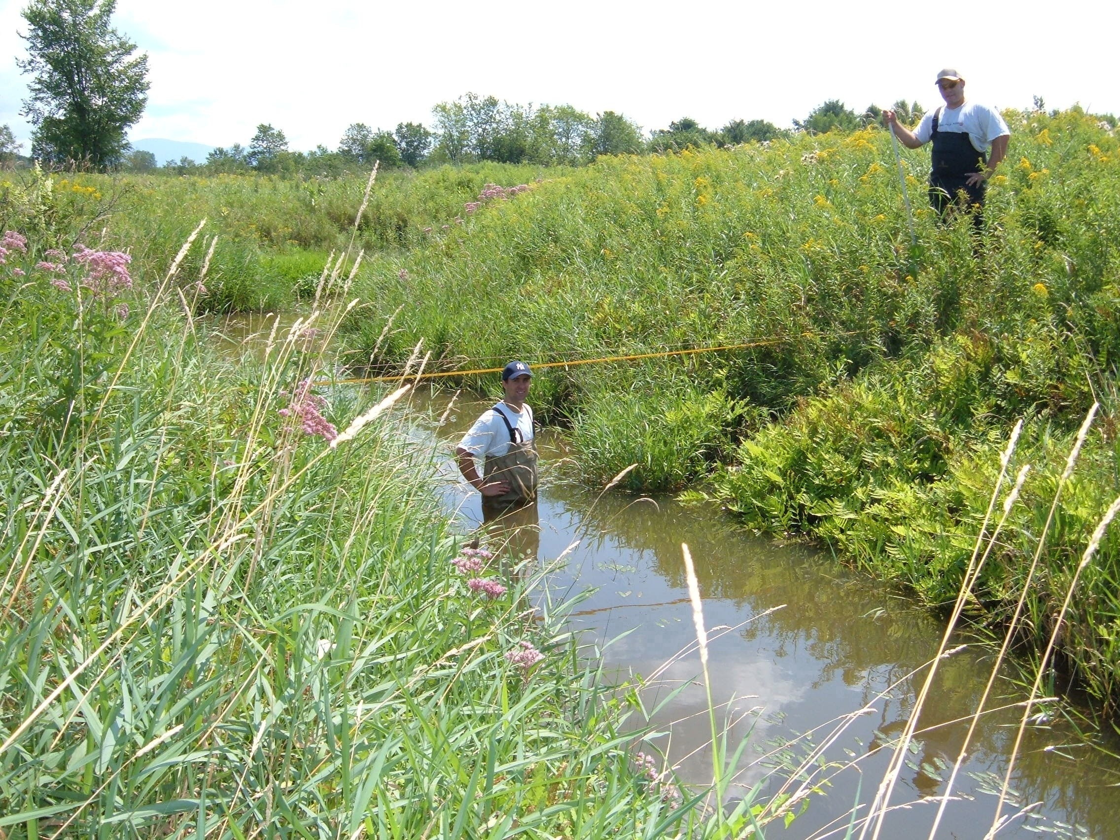 Upper reach geomorph