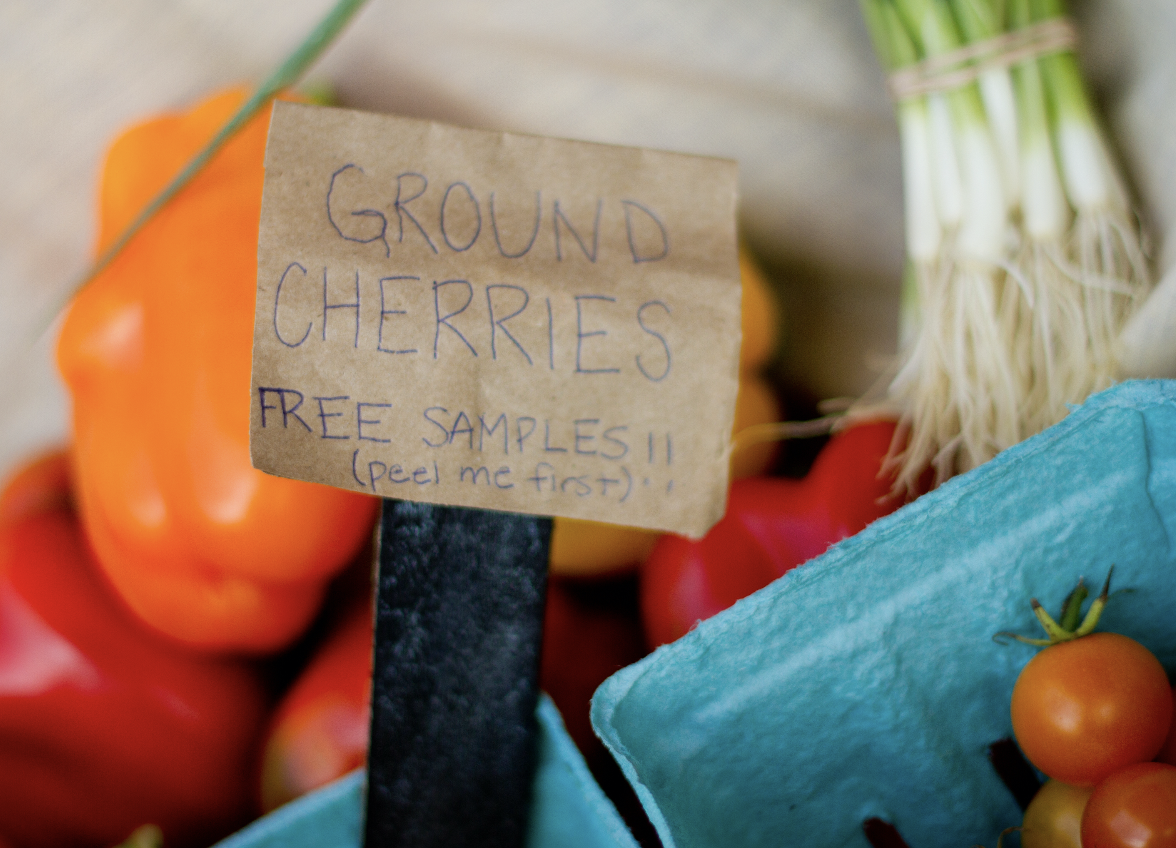 Burlington Farmer's Market