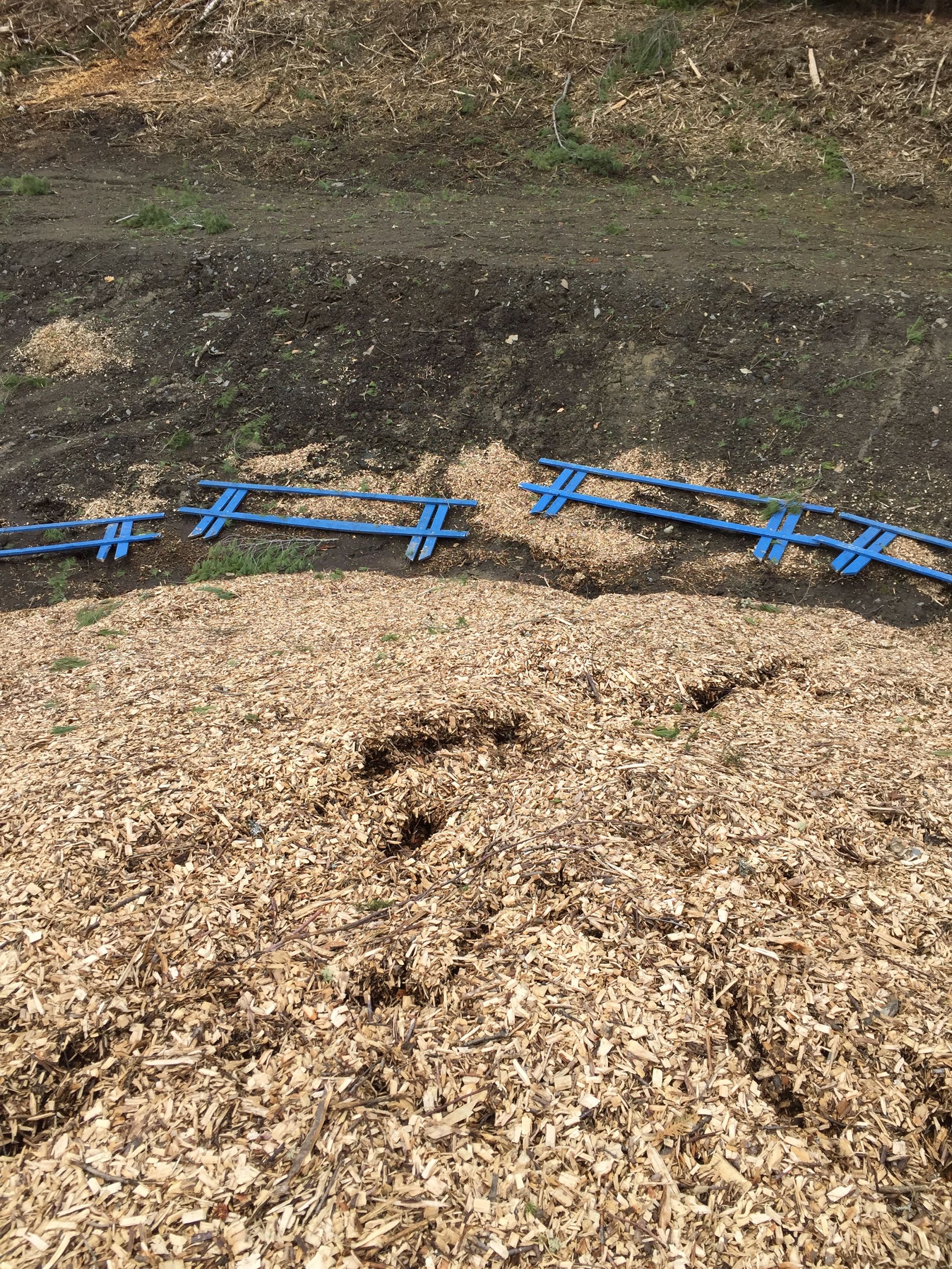 chip cracks pond site