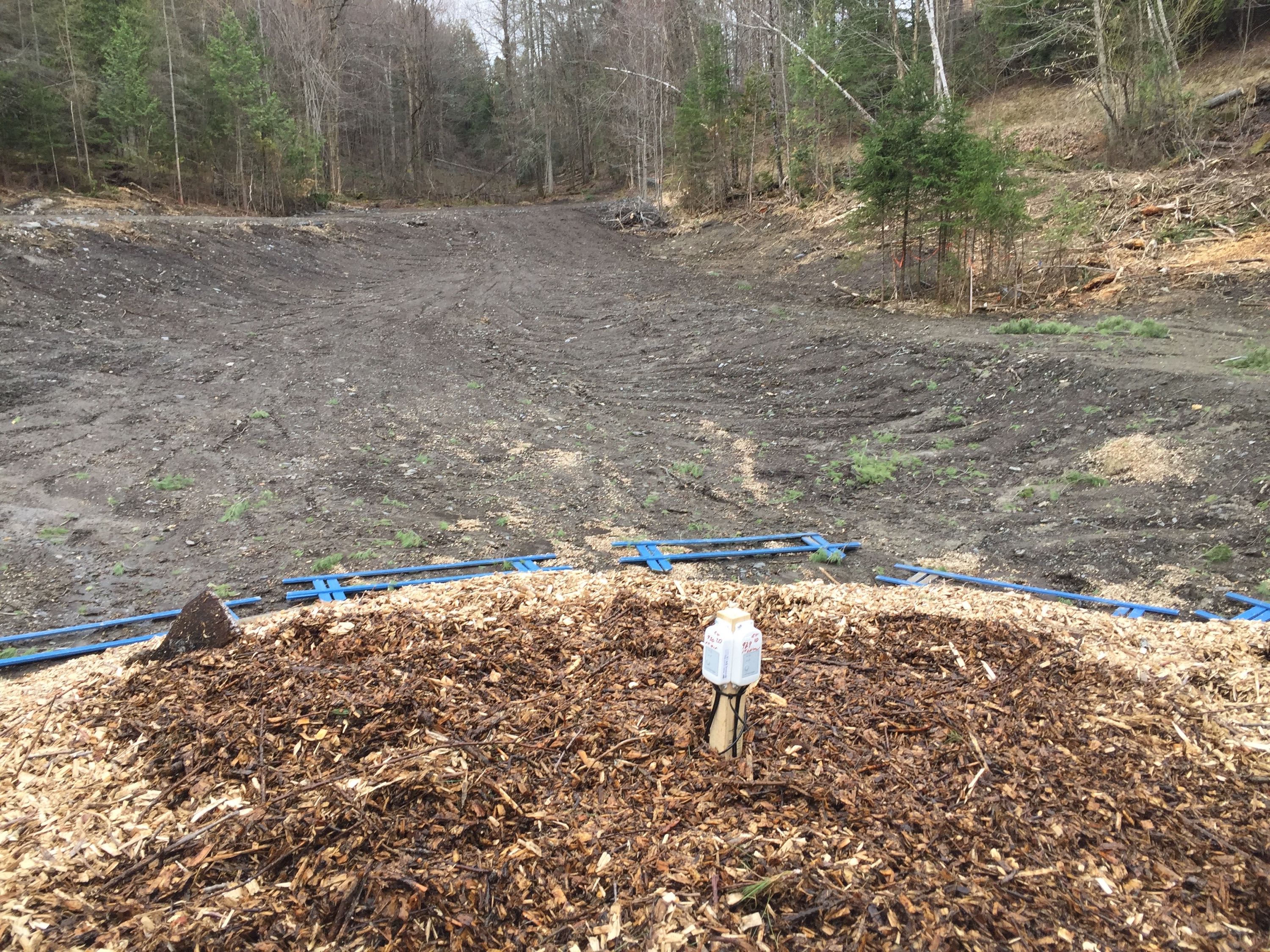 chip sensor tree on pond pile