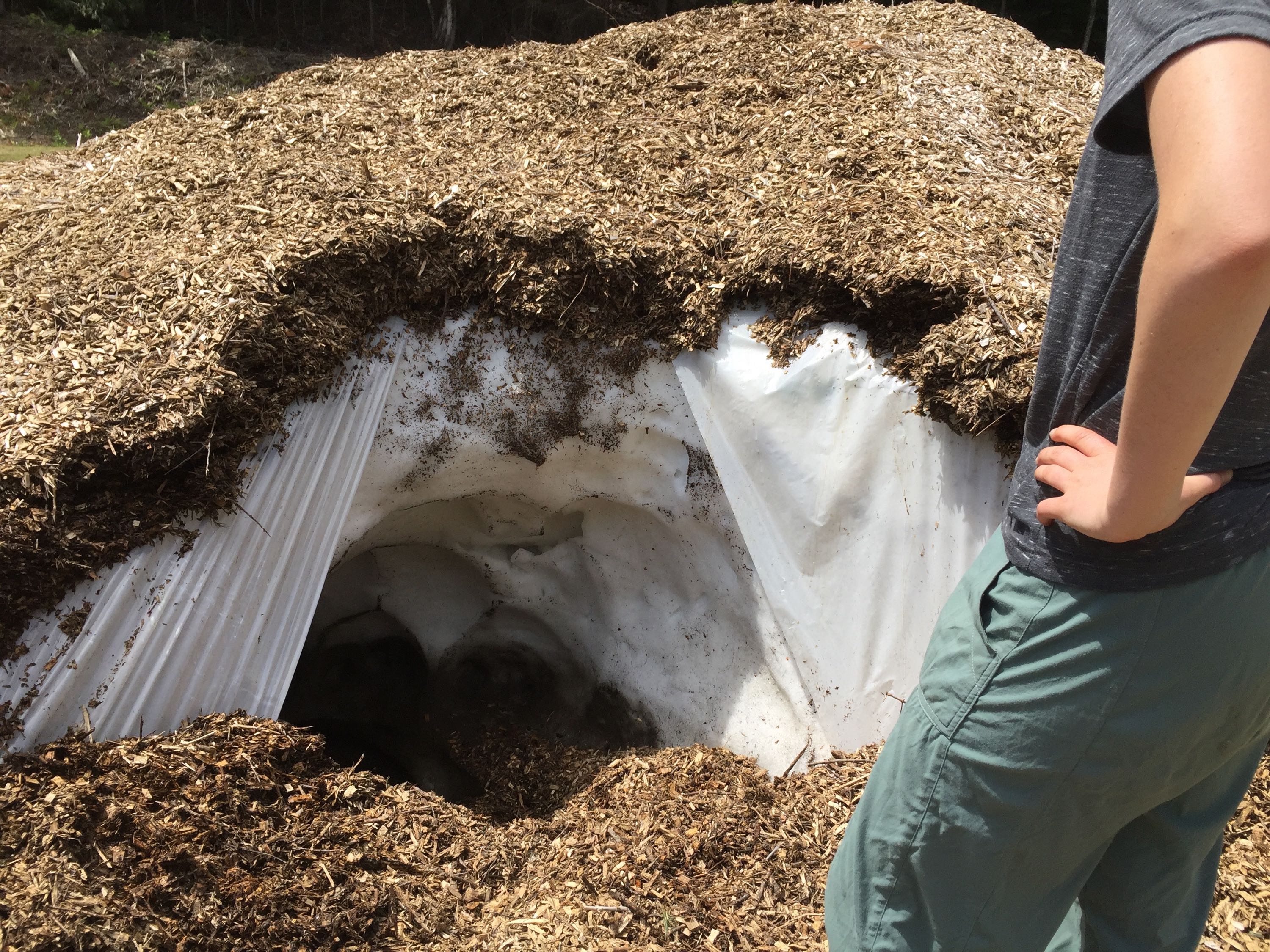 pond pile cave