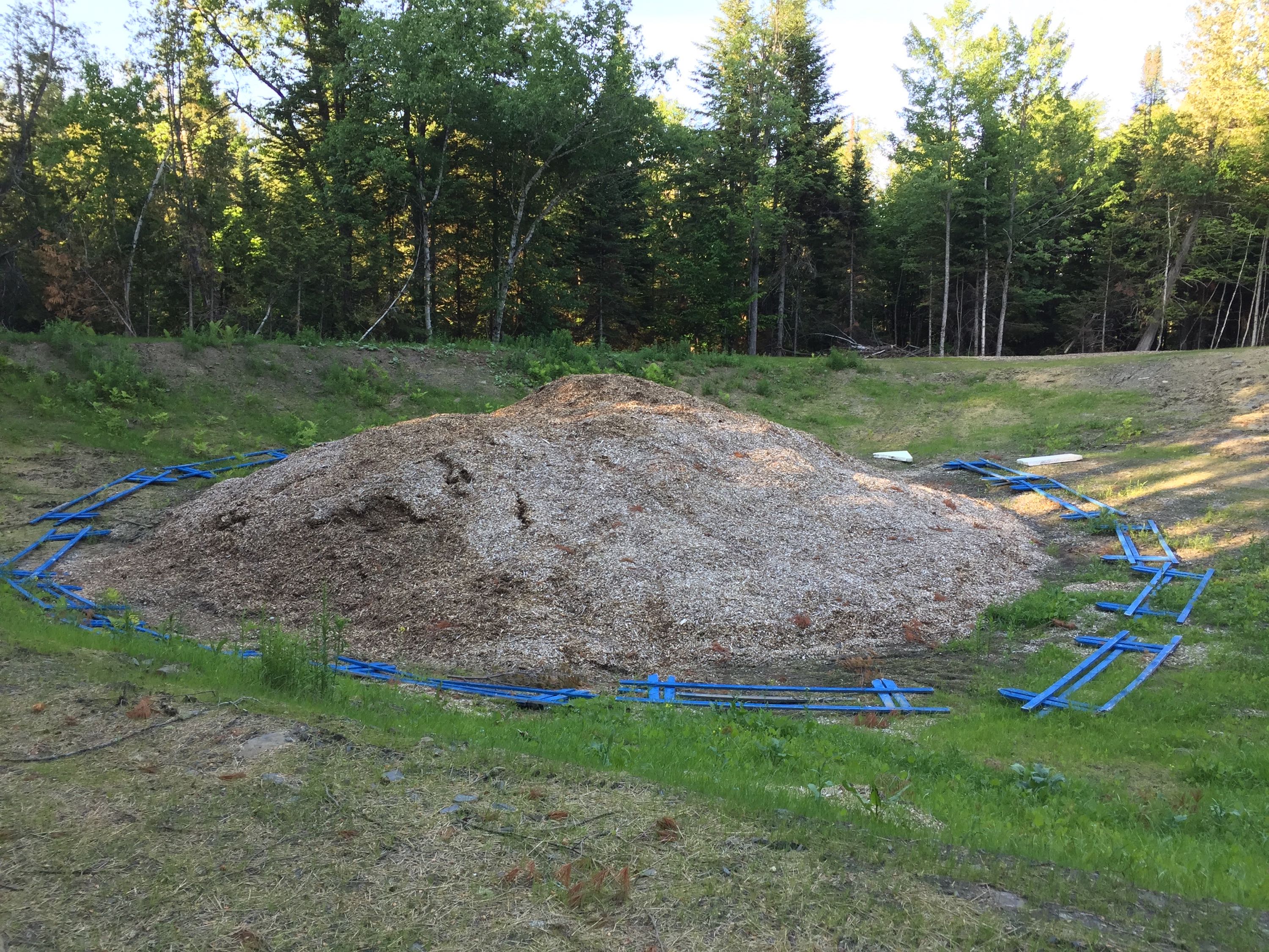 pond pile