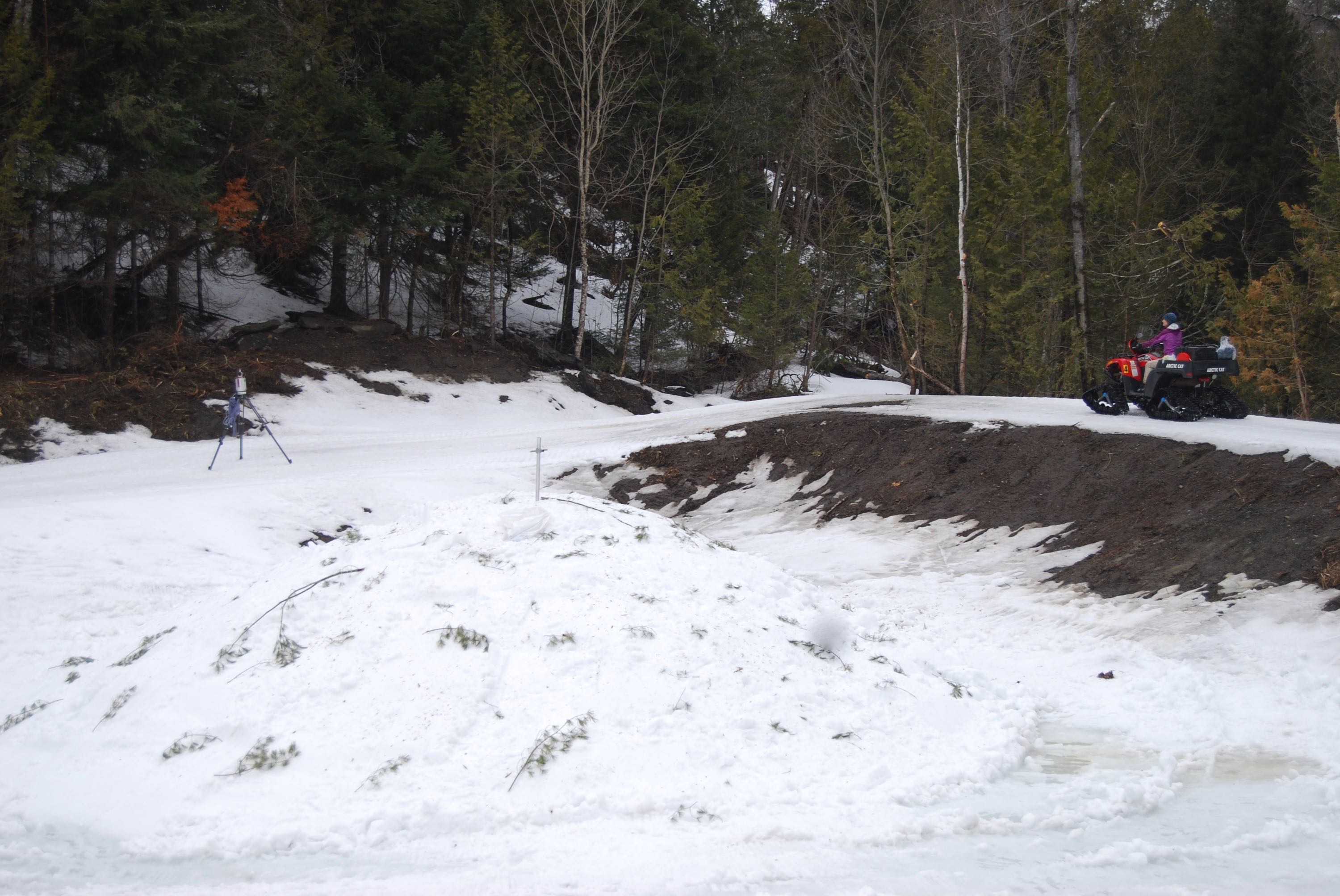 pond pile