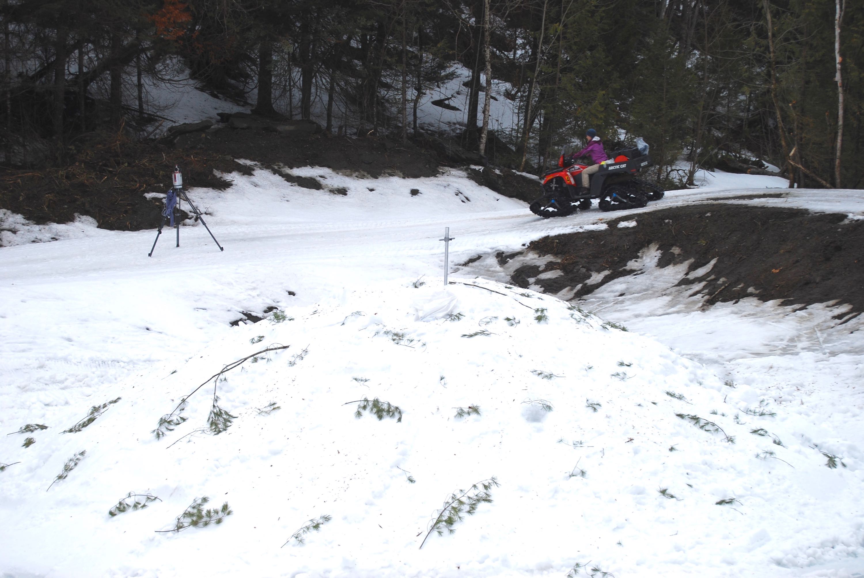 pond pile
