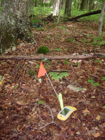 Permanent Marker and GPS at Center of Plot