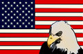 American Flag