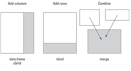 Use cbind and rbind to add rows and columns to a dataframe.