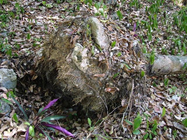 DSCF2085.JPG