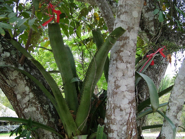 DSCF2090.JPG