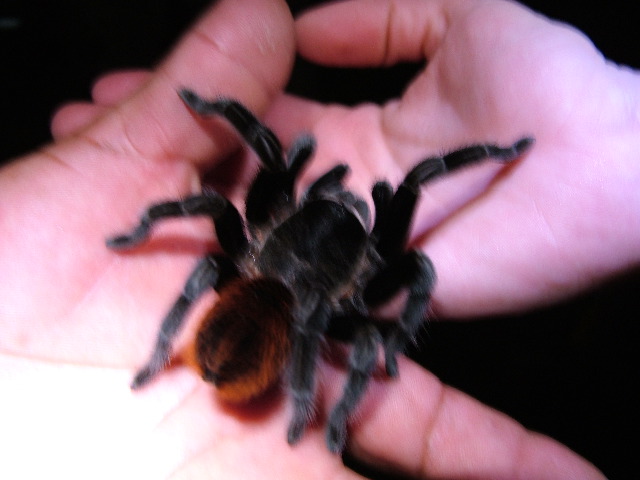 DSCF2094.JPG