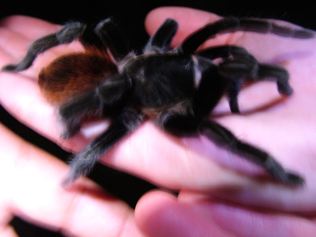 DSCF2095.JPG