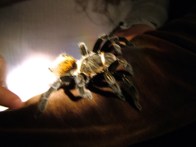 DSCF2099.JPG