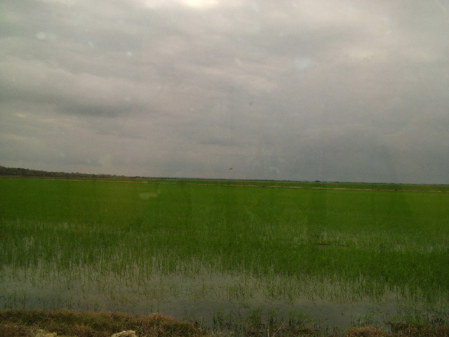 DSCF2100.JPG