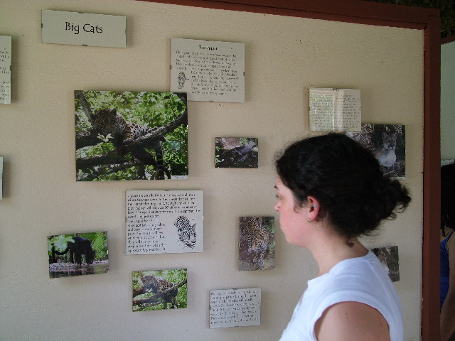 DSCF2108.JPG