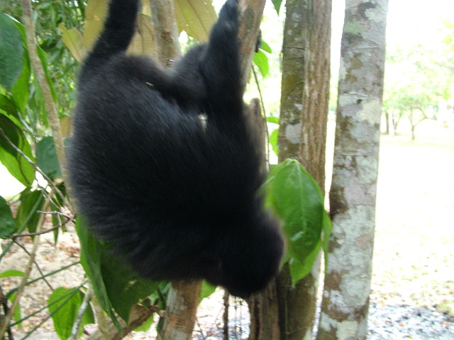 DSCF2121.JPG