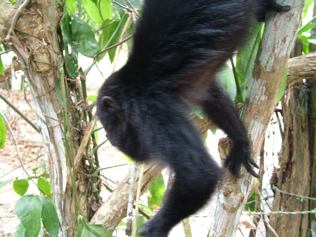 DSCF2122.JPG