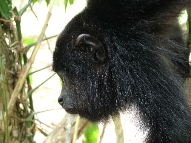 DSCF2123.JPG