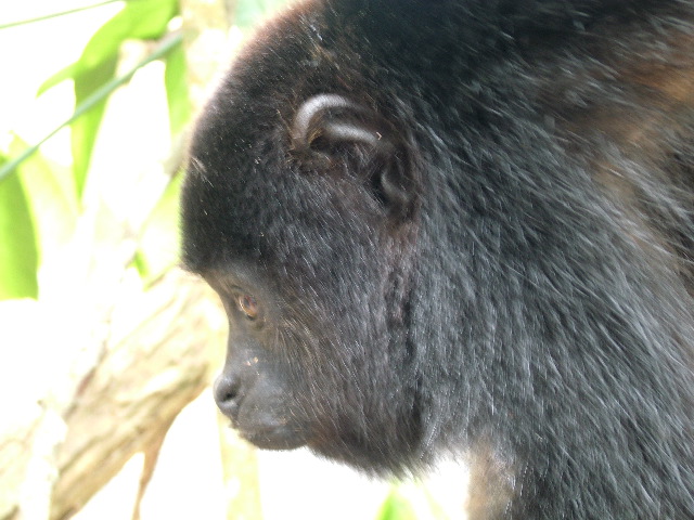 DSCF2125.JPG