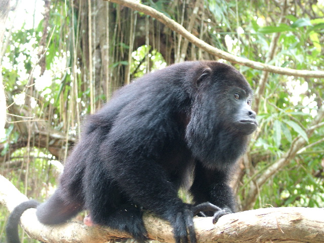 DSCF2126.JPG