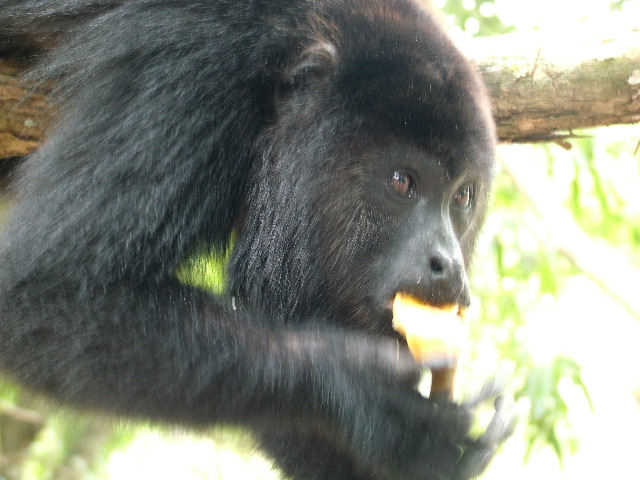 DSCF2128.JPG