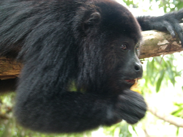 DSCF2129.JPG