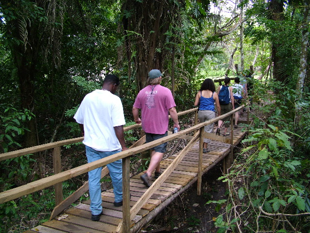 DSCF2135.JPG