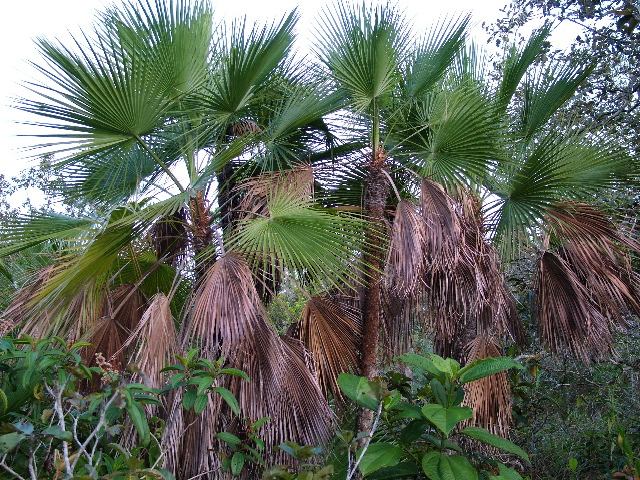 DSCF2141.JPG