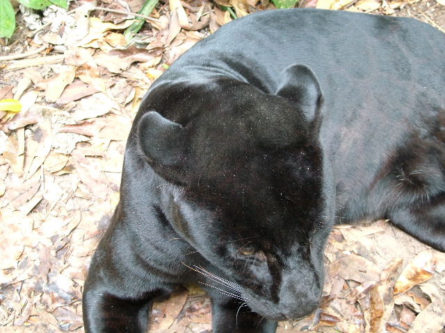 DSCF2150.JPG