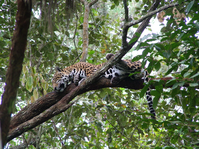DSCF2154.JPG