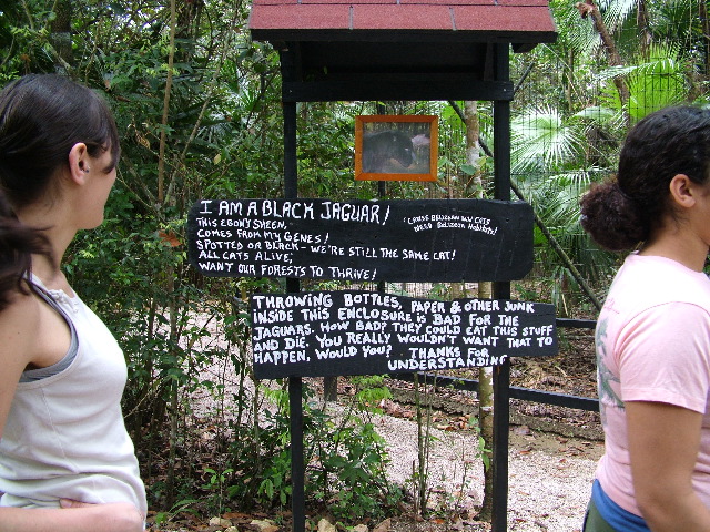 DSCF2157.JPG
