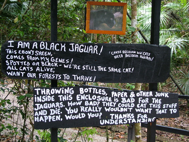 DSCF2158.JPG