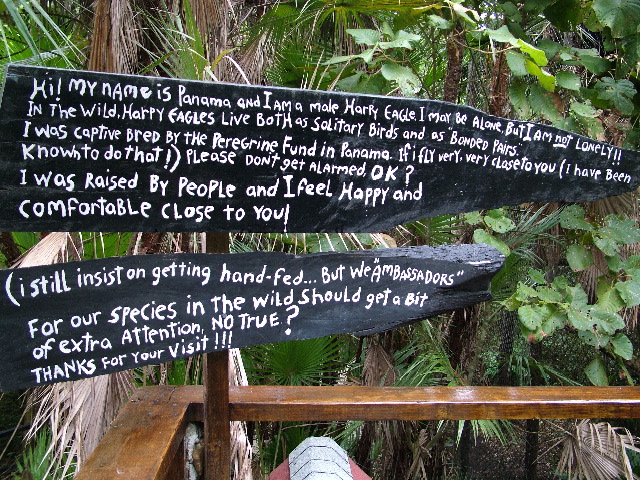 DSCF2163.JPG