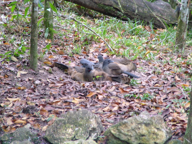 DSCF2168.JPG