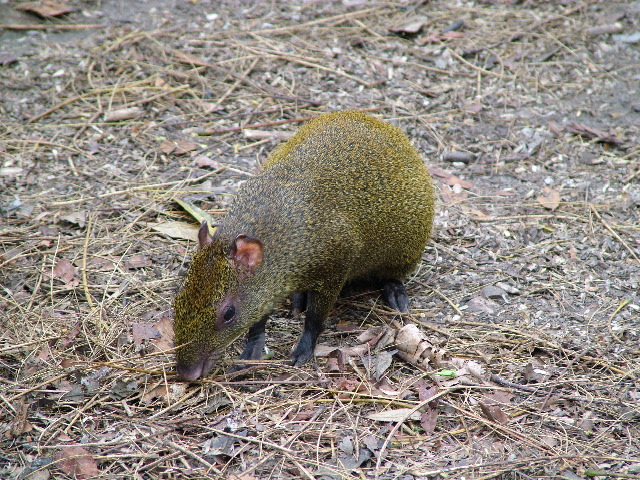 DSCF2171.JPG